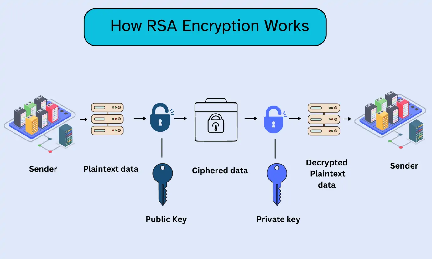 Enduring Power of RSA Encryption in Securing Network Communications